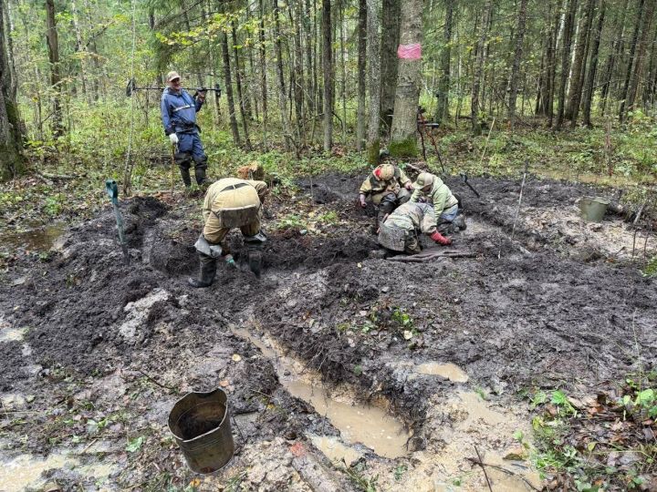 Поисковики Лаишевского района вели раскопки в «Долине смерти» в Новгородской области