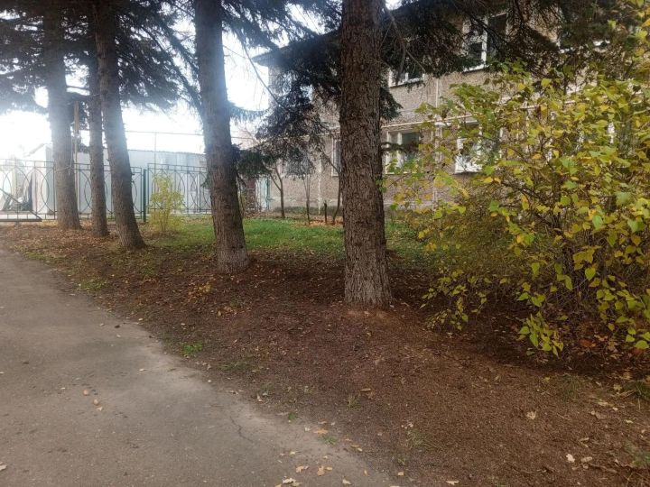 Продолжаем делиться атмосферой городского субботника