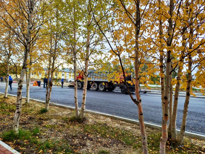 Осенние зарисовки: читатели делятся красотой уходящего сезона