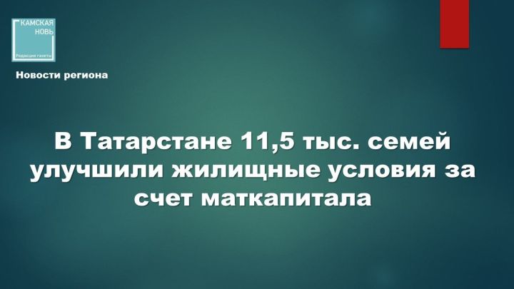 Отделение СФР по Татарстану отчиталось о 11,5 тысячах выплат с начала года