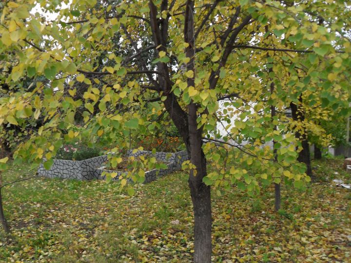 Тепло возвращается в Лаишевский район