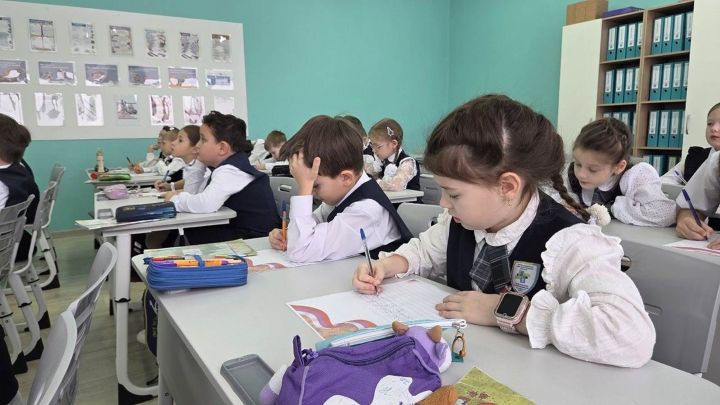 Лаеш районы лицей укучылары Әфган сугышчылары өчен концерт әзерләделәр