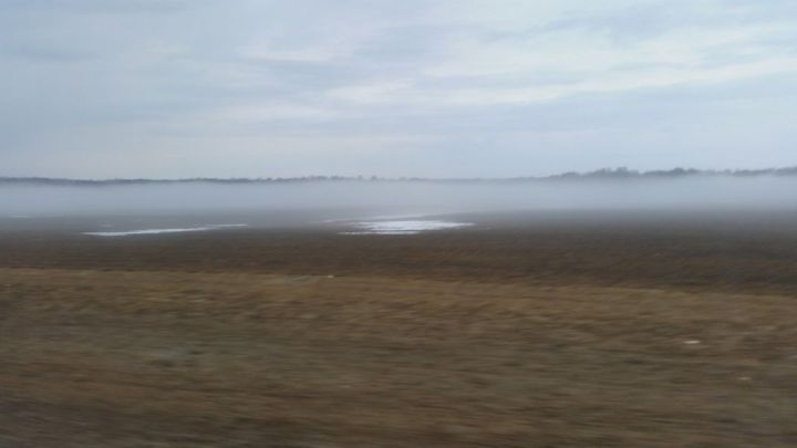 Жителей Лаишевского района предупреждают о тумане в ближайшие сутки