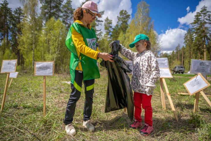 Природоохранная акция «Чистые леса Татарстана» стартует 20 апреля