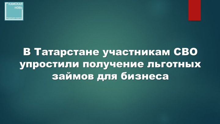 В Татарстане упростили получение льготных микрозаймов для предпринимателей — участников СВО