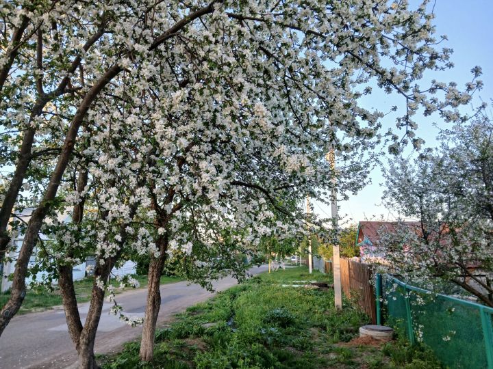 Татарстанда 300дән артык мәктәп укучысы җәйге белем бирү сменаларында бушлай катнаша ала