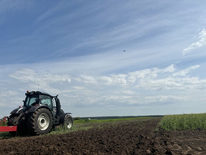 В Бутырях прошёл День поля HORSCH: современные технологии для эффективного земледелия
