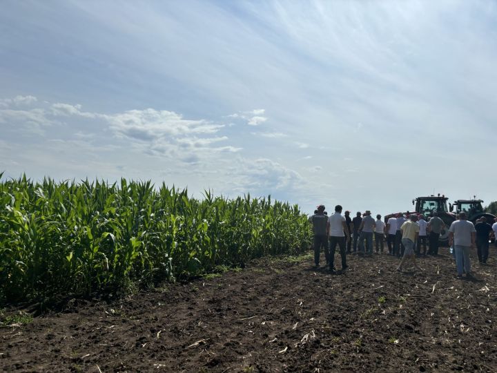 В Бутырях прошёл День поля HORSCH: современные технологии для эффективного земледелия