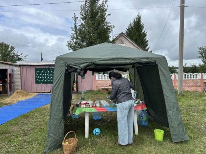 «Держись в Державино!»: безнең районда бэкъярдның беренче көне