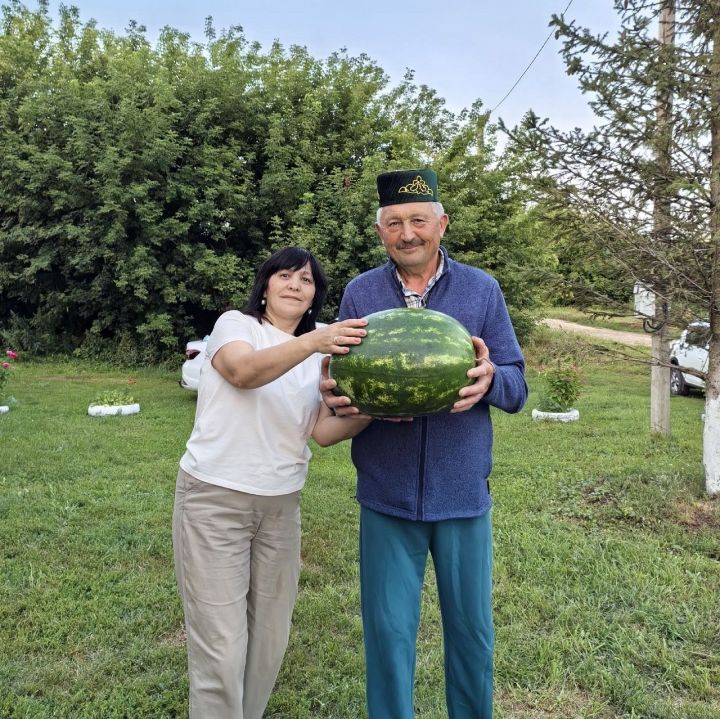 Жители села Татарский Янтык Лаишевского района почувствовали вкус лета