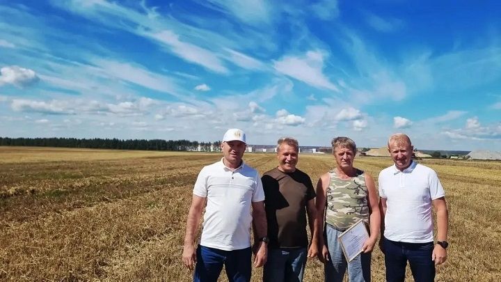 Лаеш районы кырларында урак өсте бара