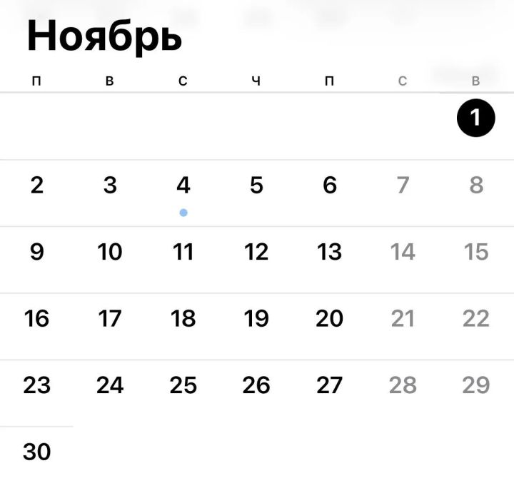 День единства и Конституция РТ сократили ноябрьскую неделю