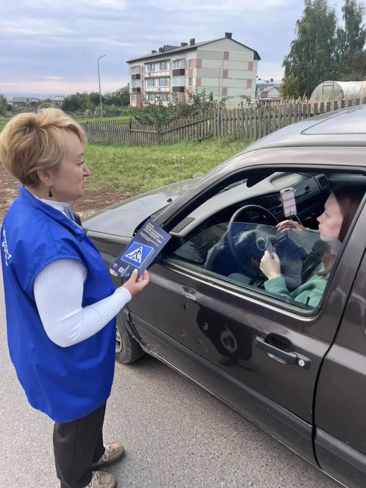 В Лаишевском районе ГИБДД провели рейд в рамках Дня безопасности