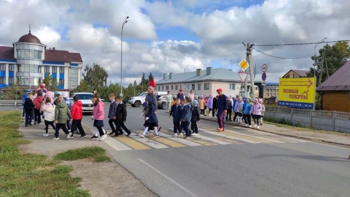 В Лаишевском районе стартует операция «Пешеход»